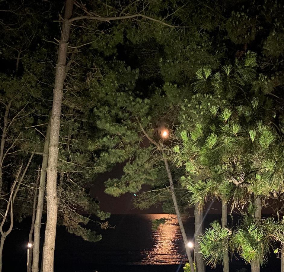 Sanny Villa Grigoleti Εξωτερικό φωτογραφία